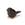 QL10230-BK  QL1349 Magnet, BIG BIRD, svart Qualy